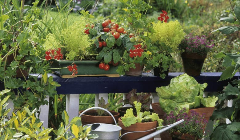 Garten im Freien