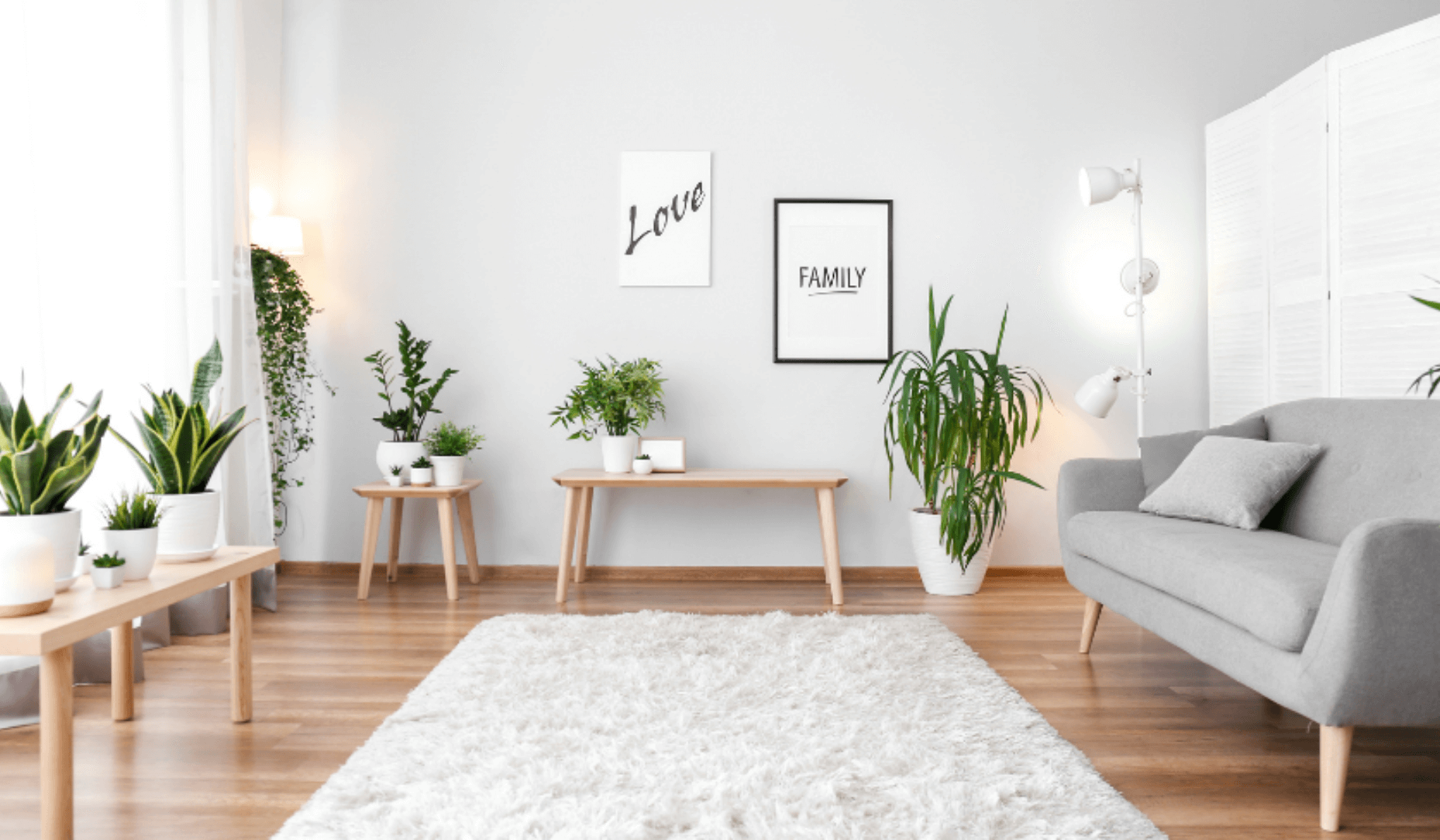 Beau tapis recouvrant un sol dans un salon