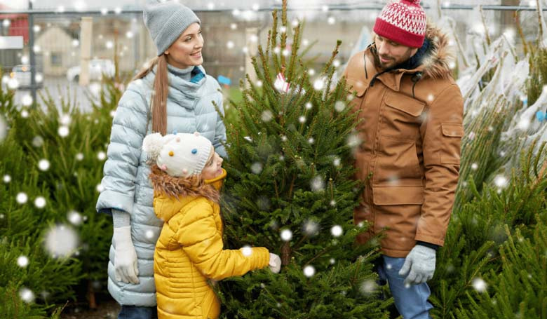 Une famille qui choisir leur sapin de Noël