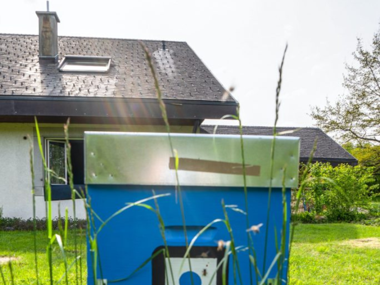Ruche parrainée par la régie de Fribourg