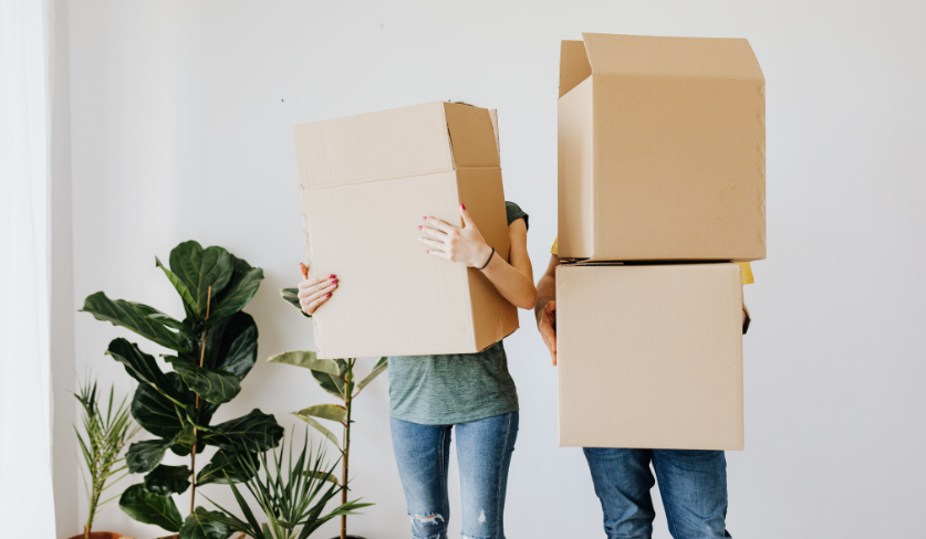 Zwei Personen, die sich hinter Kartons verstecken