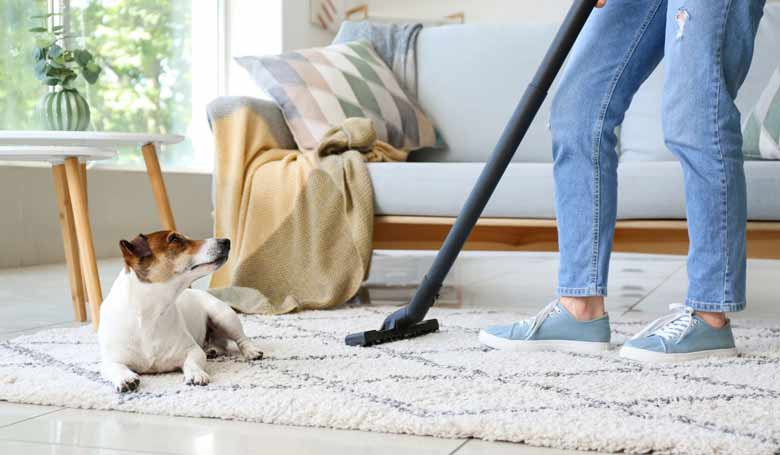 Une personne passant l'aspirateur sur son tapis de salon où est couché son chien