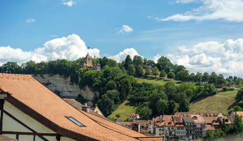 View of the City of Fribourg with greenery