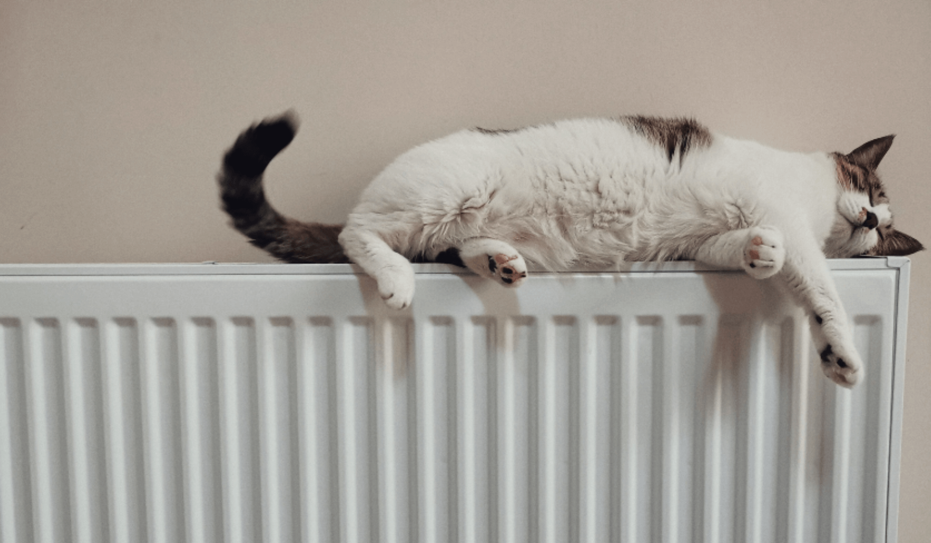 Chat allongé sur un radiateur chaud