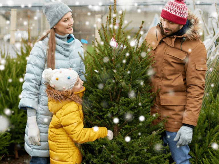 Eine Familie, die ihren Weihnachtsbaum auswählt
